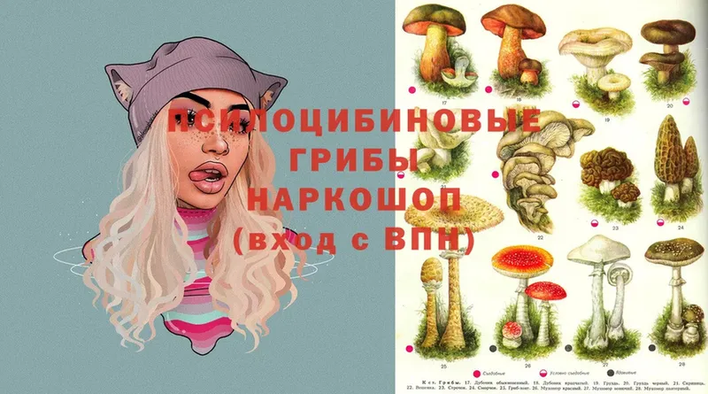 МЕГА ТОР  Сим  Галлюциногенные грибы MAGIC MUSHROOMS 